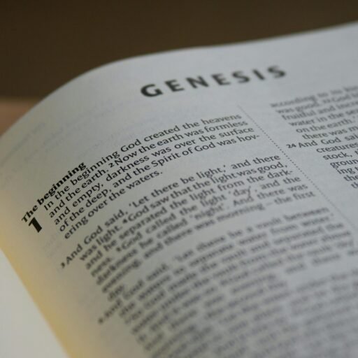 pexels photo 4654082 4654082